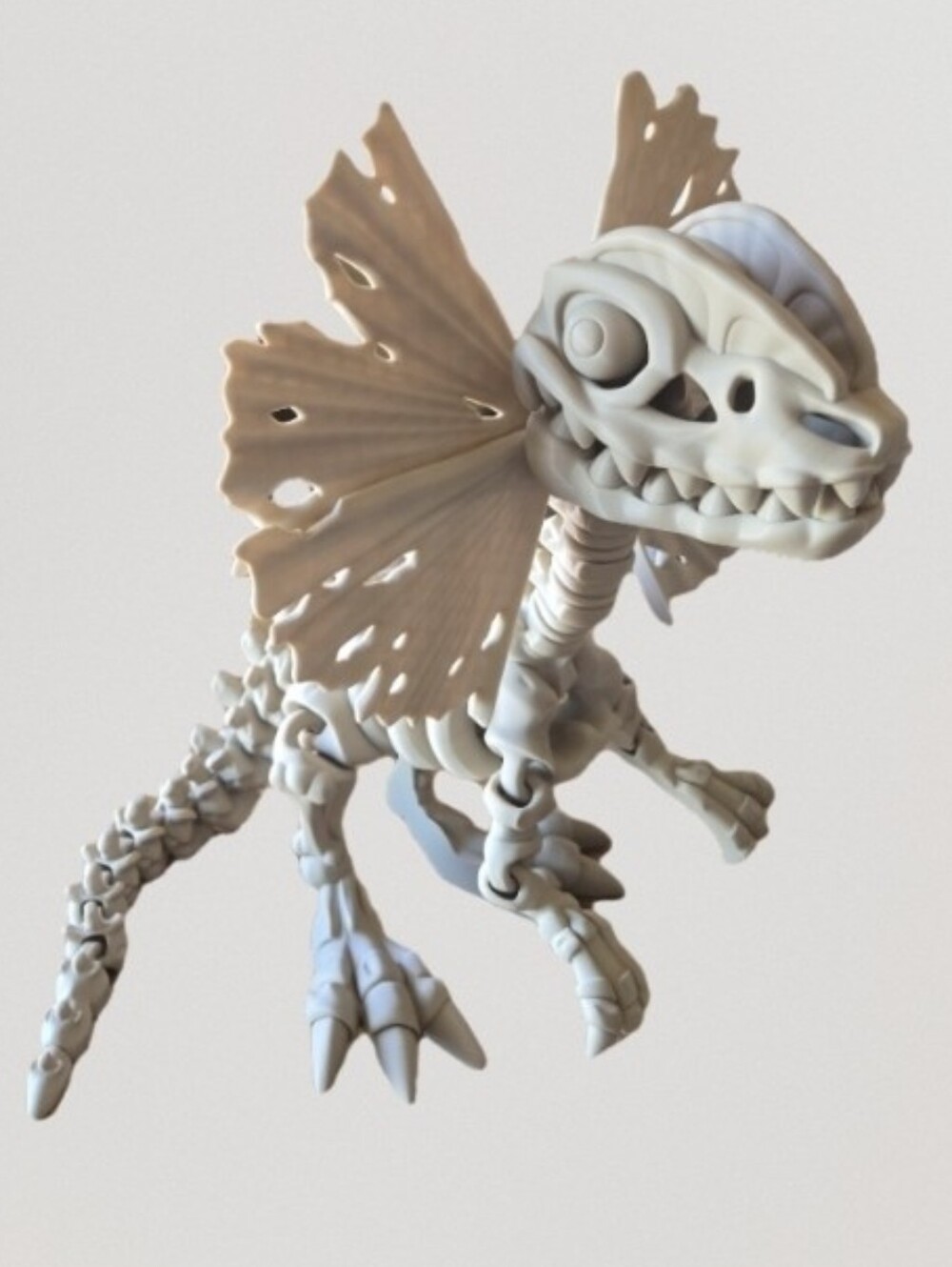 Flexible Skeletal Dilophosaurus Articulated 3D Printed 21x26" HUGE 3D NEW!